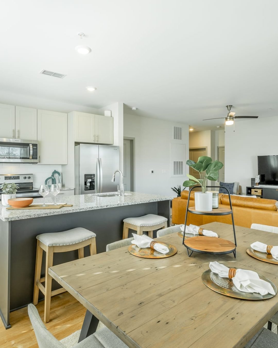 main apartment(1)